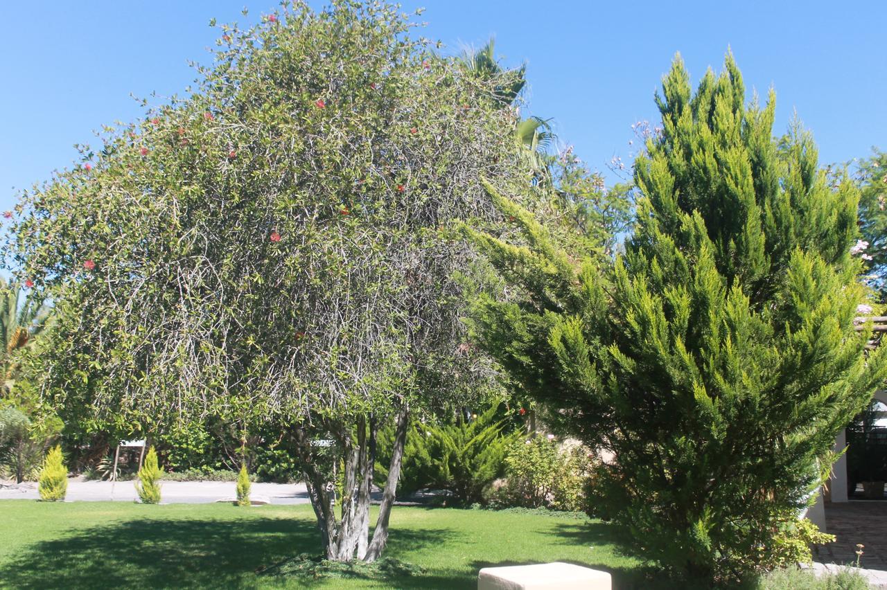 Garden Corner Guesthouse Beaufort West Exteriér fotografie